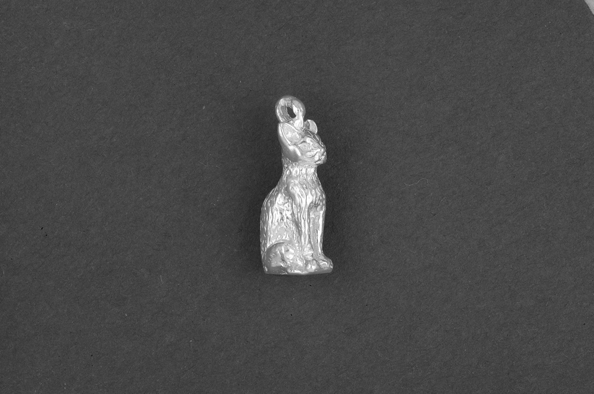 Birmaanse kat - Goud