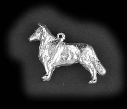 Sheltie - Goud
