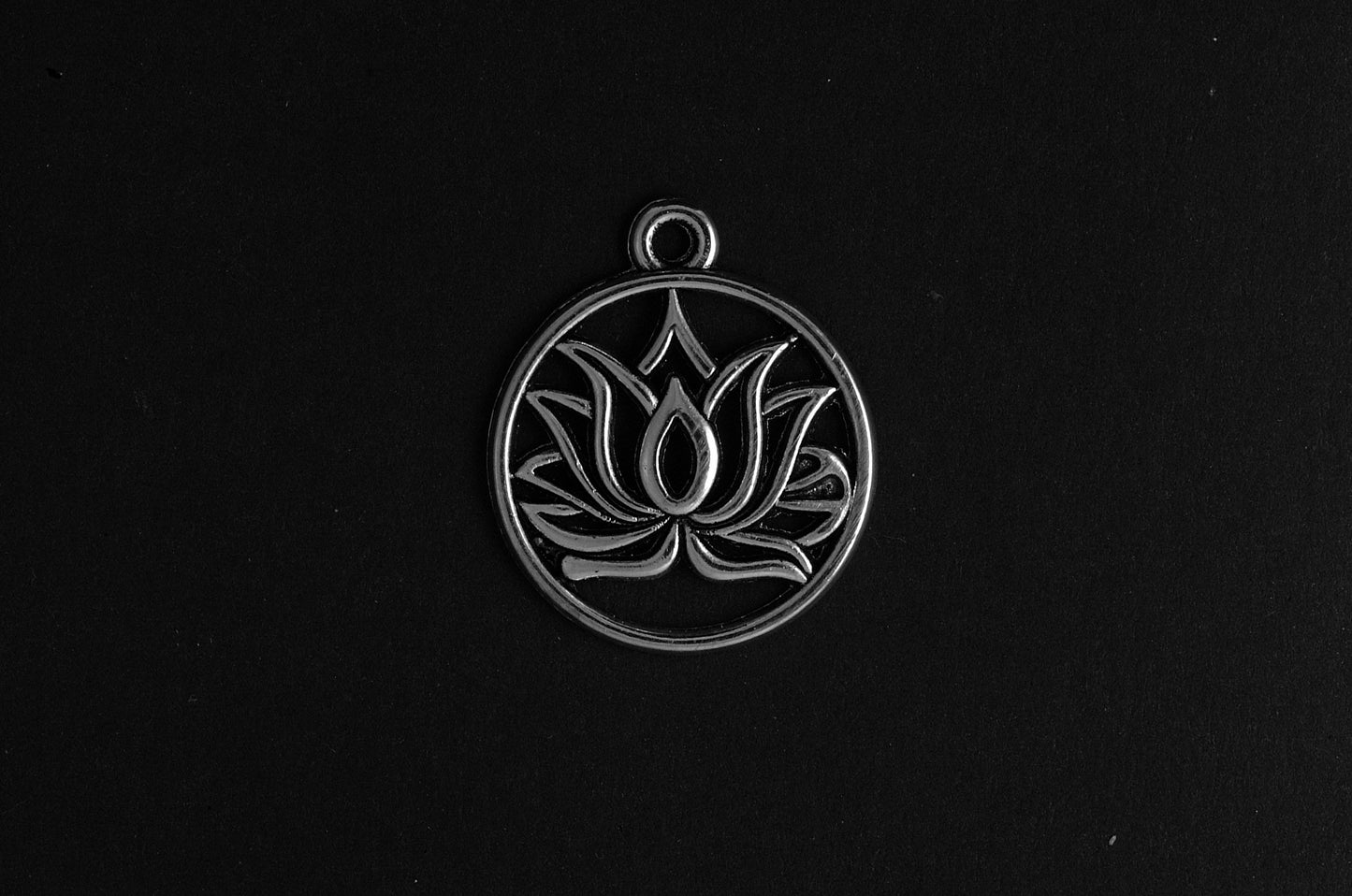 lotusbloem / lotus / Nelumbo nucifera - Goud