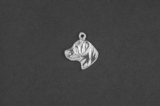 Rottweiler kop - Goud