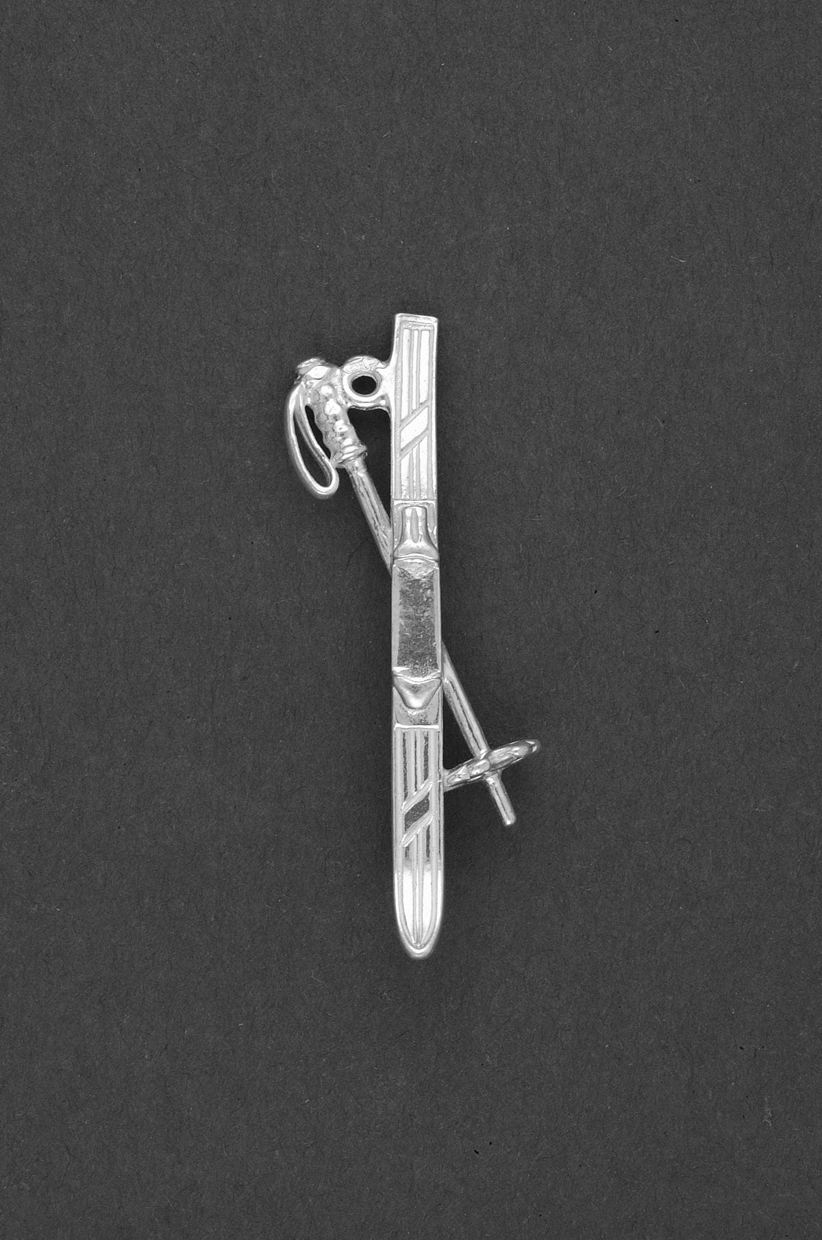 Skistok - Goud