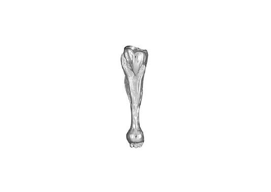 Tulpenbol - Goud